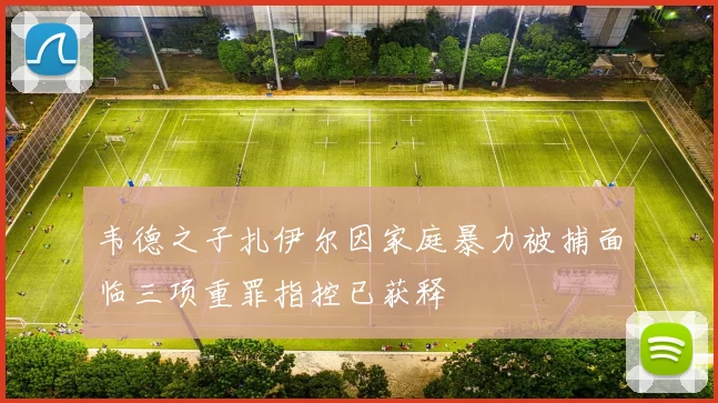 韦德之子扎伊尔因家庭暴力被捕面临三项重罪指控已获释